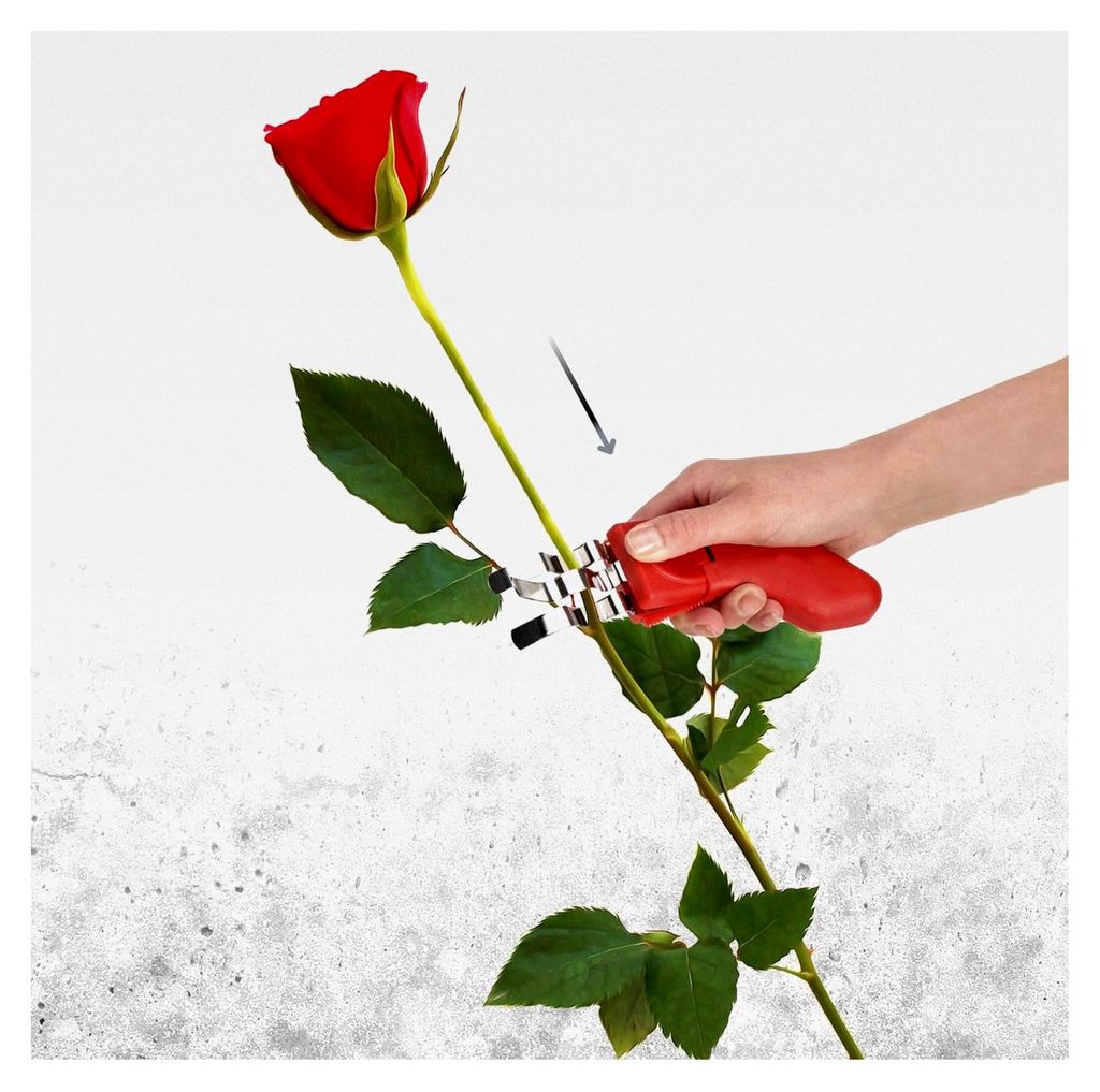 Rosenentdorner - Profi Stielentdorner für Rosen, Nelken und Schnittblumen - Kunststoff-Entdorner mit Wellenklingen aus Metall