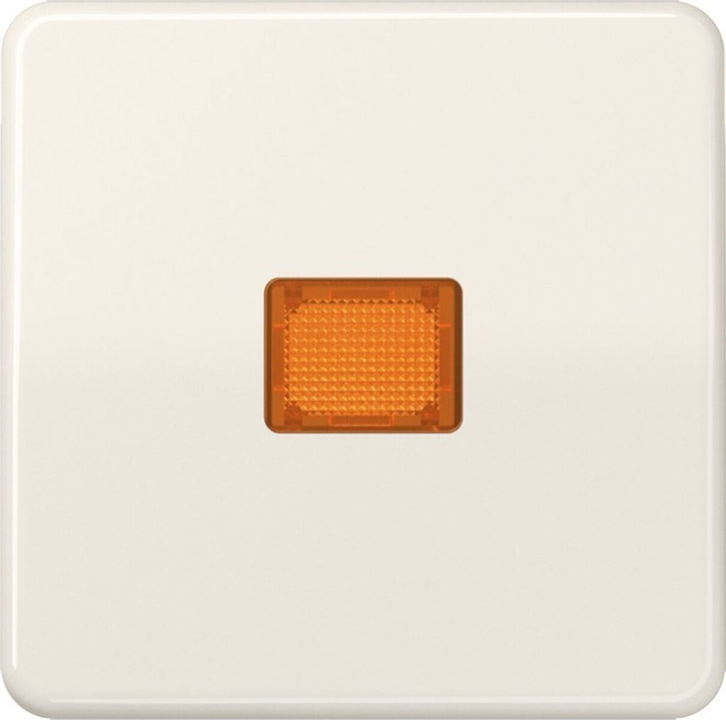 Jung Wippe Lichtfenster ws CD 590 KOBF CD590KOBF