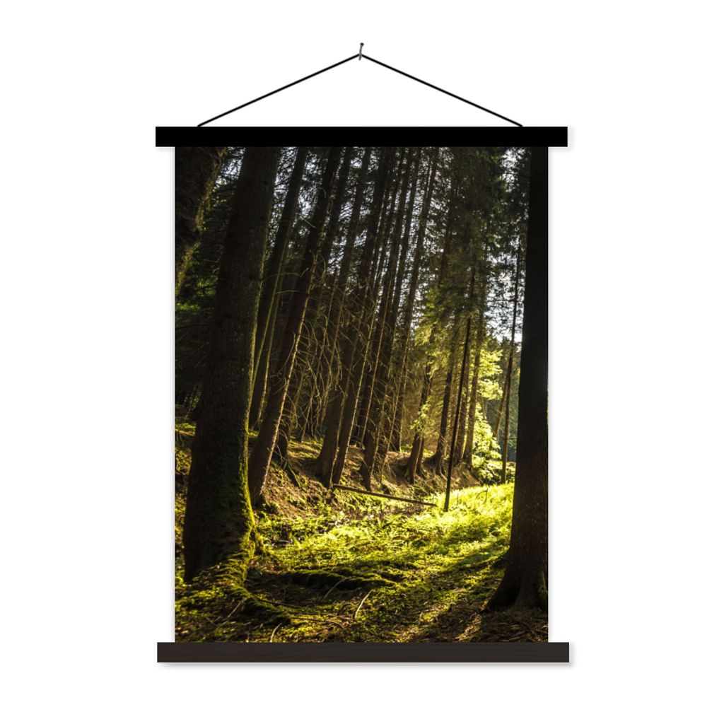 MuchoWow Textilposter Baum - Natur - Sonne - Wald 120x160 cm mit schwarzem Rahmen - Magnetischer