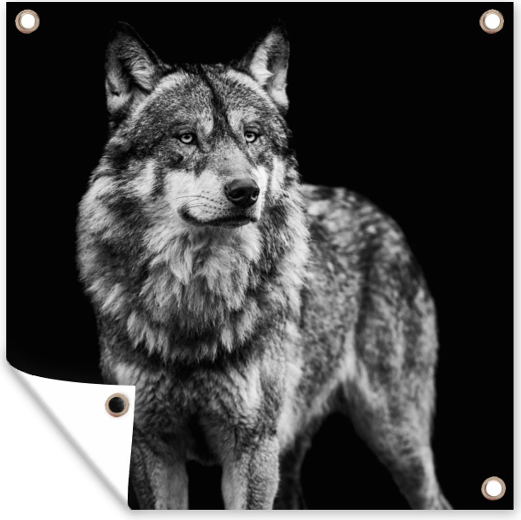 MuchoWow 50x50 cm Outdoor-Poster Gartendeko Sichtschutz Garten Poster für den Garten Wolf - Tiere - Wild - Schwarz - Weiß