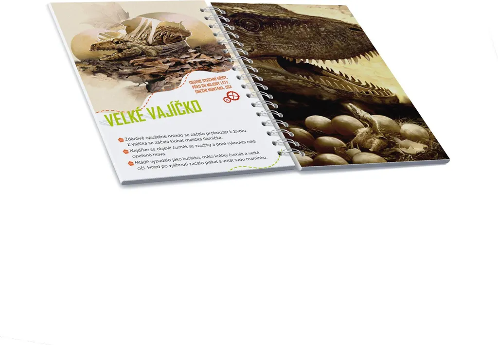 Grand Dinosaure T-Rex avec mâchoire mobile et détails ultra réalistes - 2
