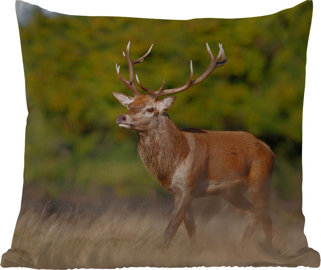 MuchoWow Outdoor Kissen - Tiere - Hirsche - Geweihe - Waldtiere - Natur - 45x45 cm - Wetterfest - Lounge Kissen - Fotokissen - Dekoratives Kissen