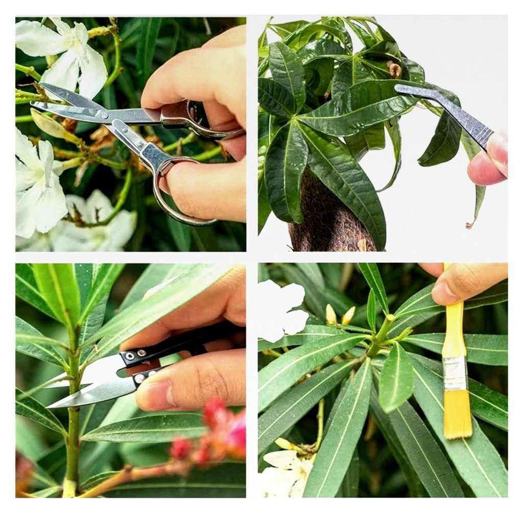 Gartenwerkzeug-Set - Ergonomischer, rutschfester Griff, Handwerkzeuge für den Garten | Für Garten | Für Höfe, Balkone, Terrassen, Wege, Patios