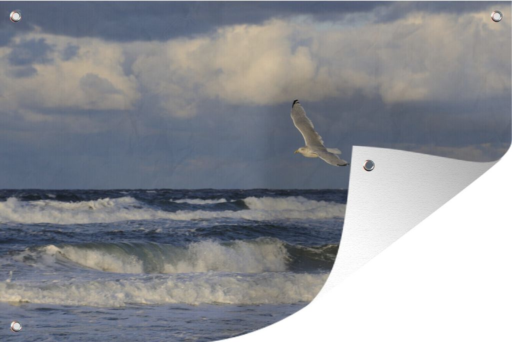 MuchoWow 60x40 cm Outdoor-Poster Gartendeko Sichtschutz Garten Poster für den Garten Ostsee - Möwe - Wasser