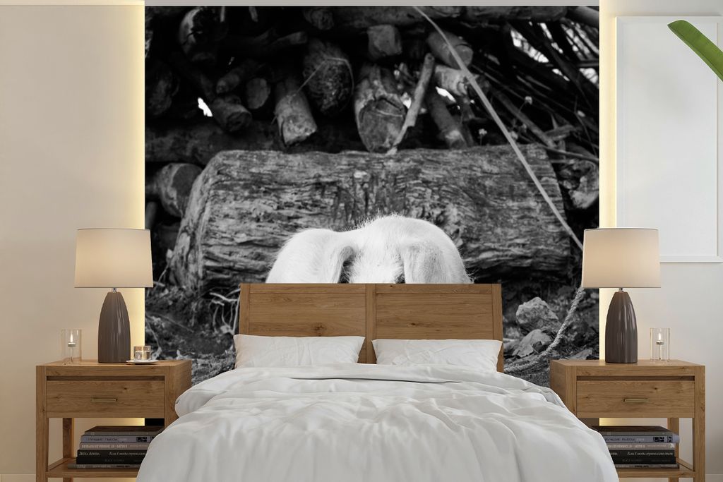 MuchoWow Fototapete für Wohnzimmer oder Schlafzimmer Wandtapete Vinyl Motivtapete Lügenschwein - schwarz und weiß - 260x260 cm - Papiertapeten