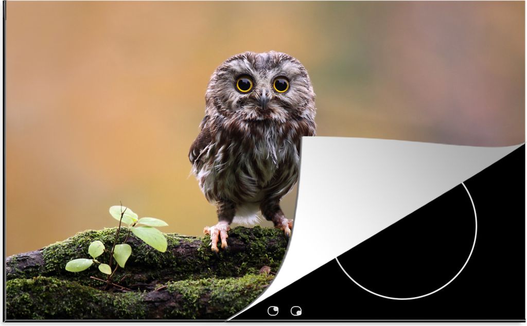 KitchenYeah Herdabdeckplatte Steinkauz , 81x52cm, Küche Deko, Glaskeramikkochfeld Herdabdeckung, Abdeckplatte fùr Kochfeld