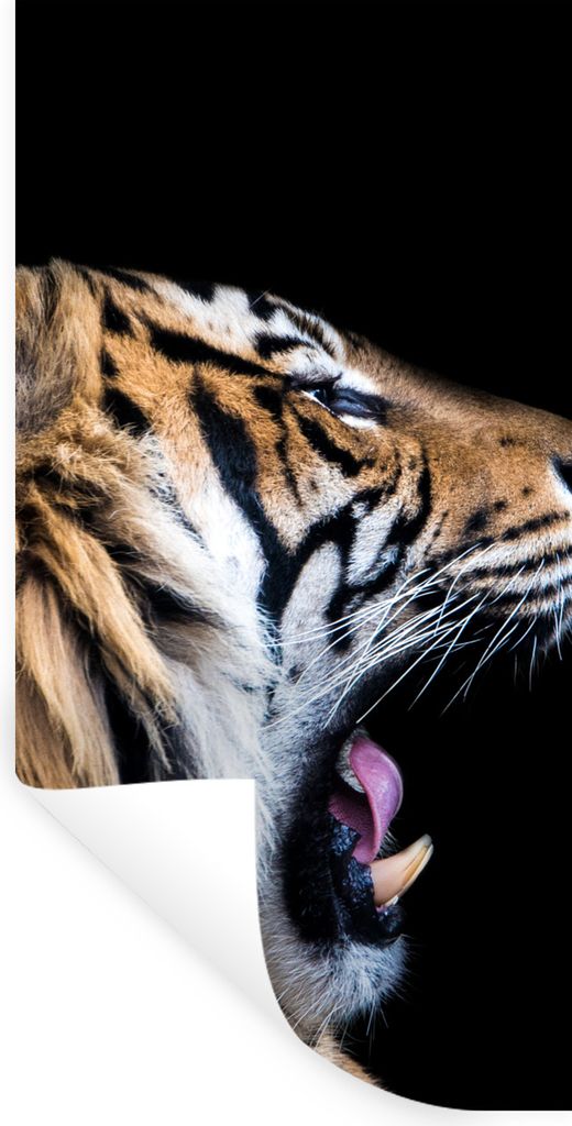 MuchoWow Wandtattoo Wandsticker Wandaufkleber Tiger - Tiere - Porträt 60x120 cm Selbstklebend und Repositionierbar - Selbstklebend - Fototapeten