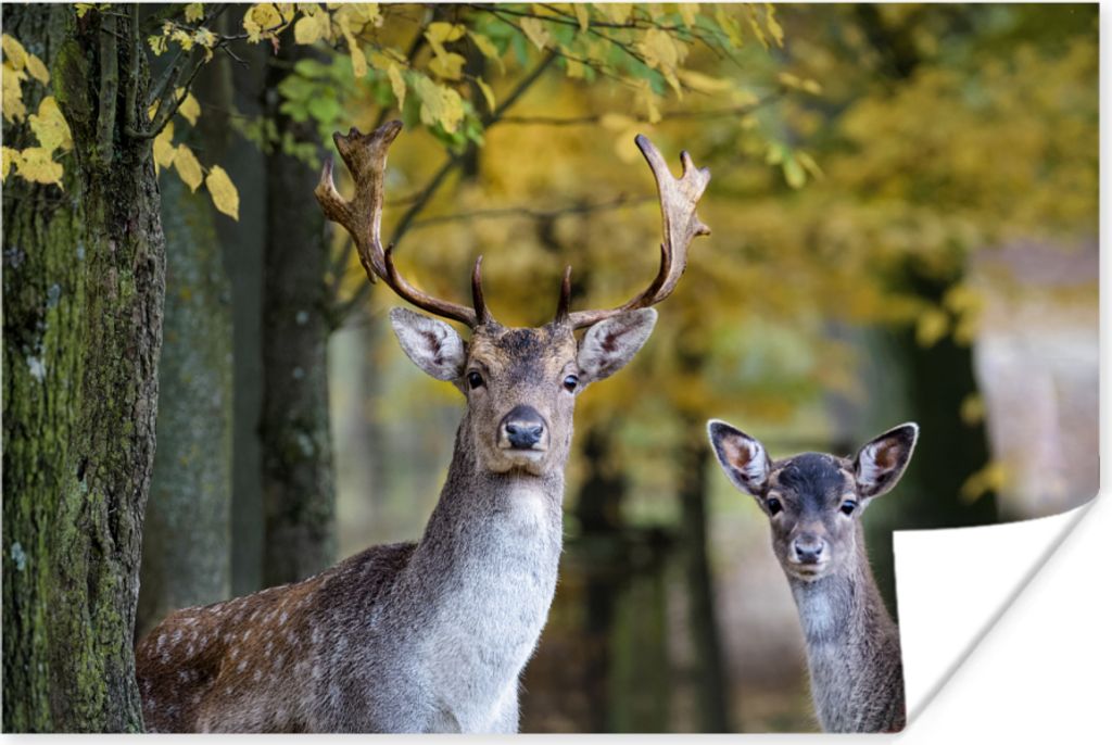 MuchoWow Poster Hirsche - Tiere - Baum 30x20 cm - Plakate - Print