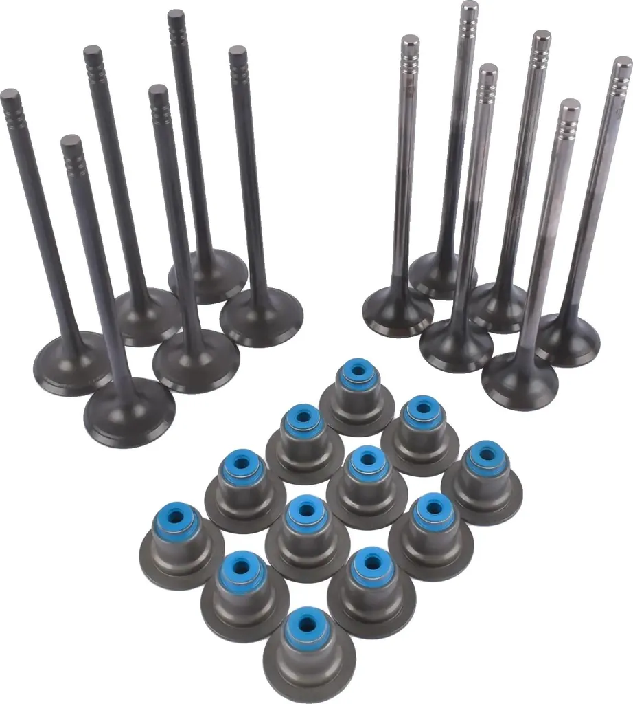 Valvole Motore Ford 1.0 EcoBoost 1760588 1760579 Kit 12pz CCC