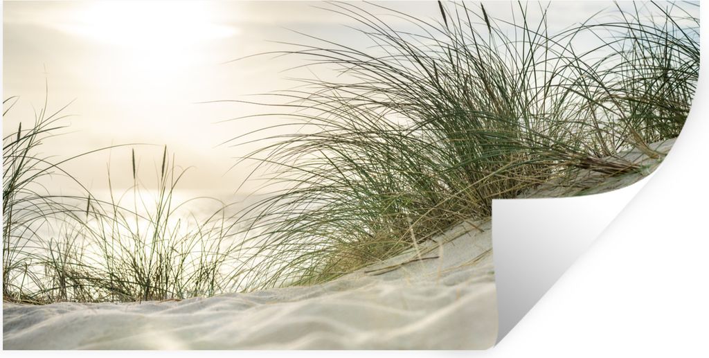 MuchoWow Wandtattoo Wandsticker Wandaufkleber Dünen mit Strandhafer in der Sonne des Nationalparks Schleswig-Holsteinisches Wattenmeer 40x20 cm ...