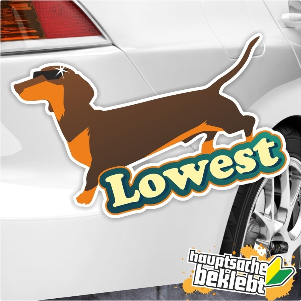 Kiwistar - Autoaufkleber - Lowest erhältlich - für Auto, Laptop, Fahrrad, LKW, Motorrad Aufkleber mehrfarbig Sticker Decal 16 x 10 cm