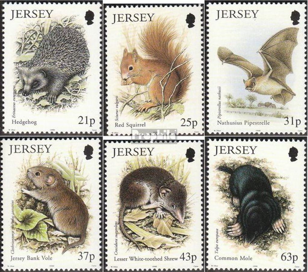 Briefmarken GB - Jersey 1999 Mi 904-909 (kompl.Ausg.) gestempelt Kleinsäuger