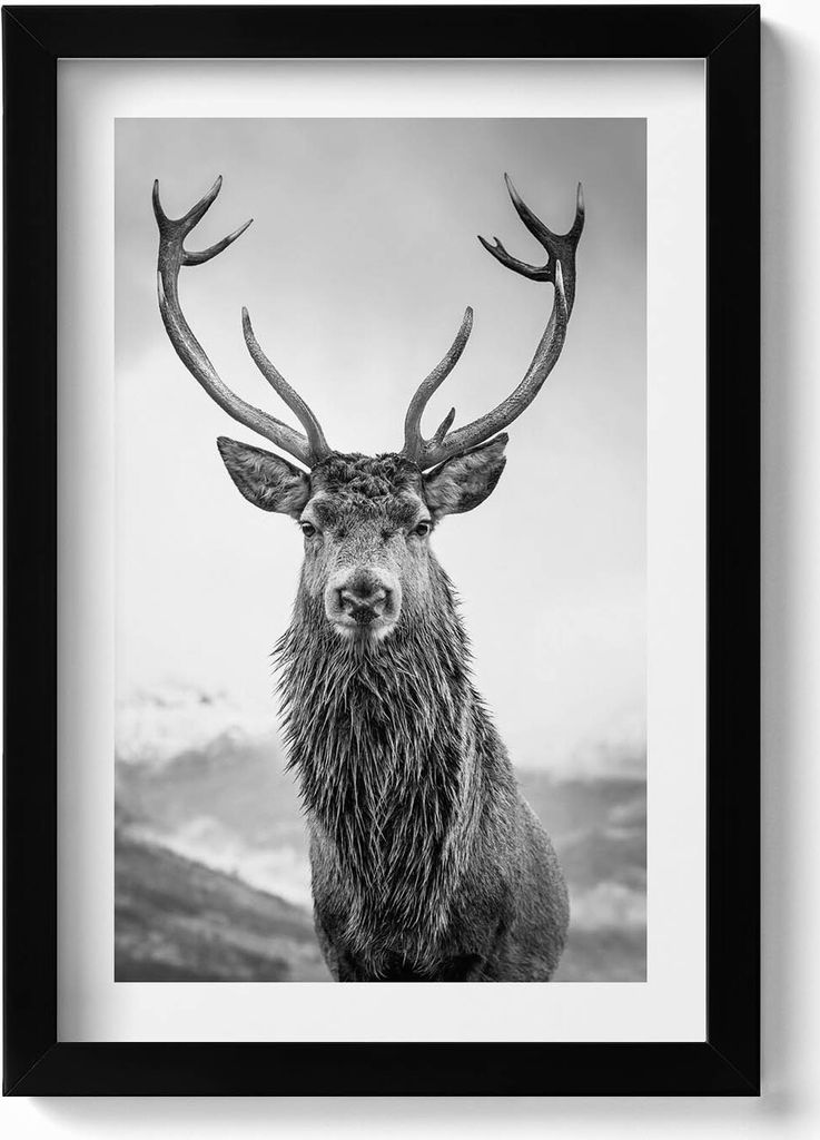 Schwarz-weißes Hirschtier– Wandbild mit Rahmen – Gerahmtes Bild – Wanddekoration – 20x30 cm – Schwarz