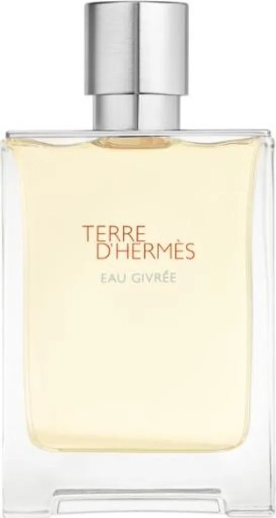 Eau Givrée Terre d’Hermès Eau de Parfum Homme 100ml Rechargeable Tester