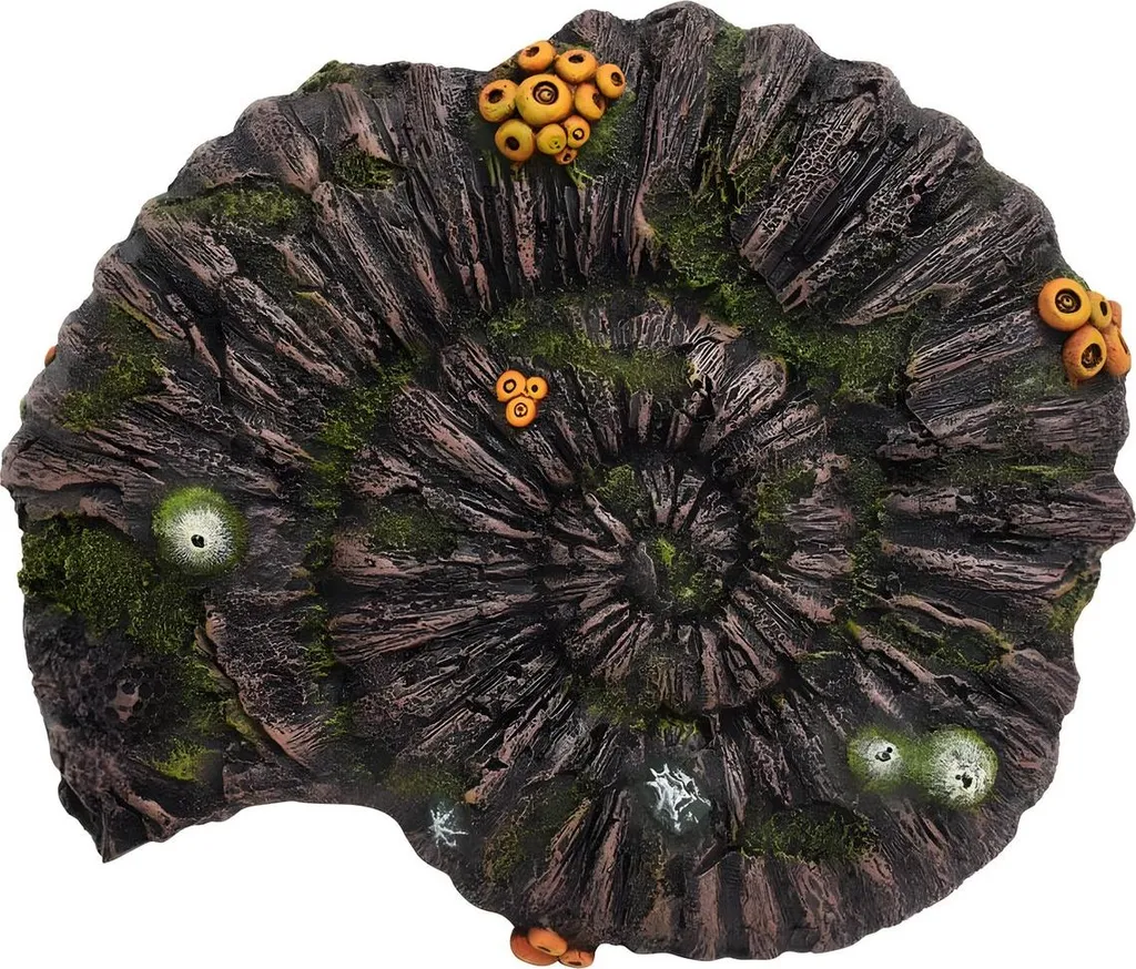 Décoration Sûre pour Aquarium : Fossile Ammonite Nobby sans Impact pH