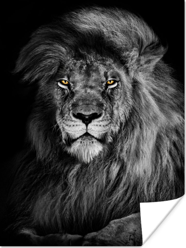 MuchoWow Poster Löwe - Augen - Orange - Schwarz und weiß - Tiere - Porträt 60x80 cm - Schlafzimmer Dekoration