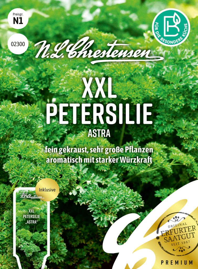 XXL Petersilie Astra, fein gekraust, sehr große Pflanzen