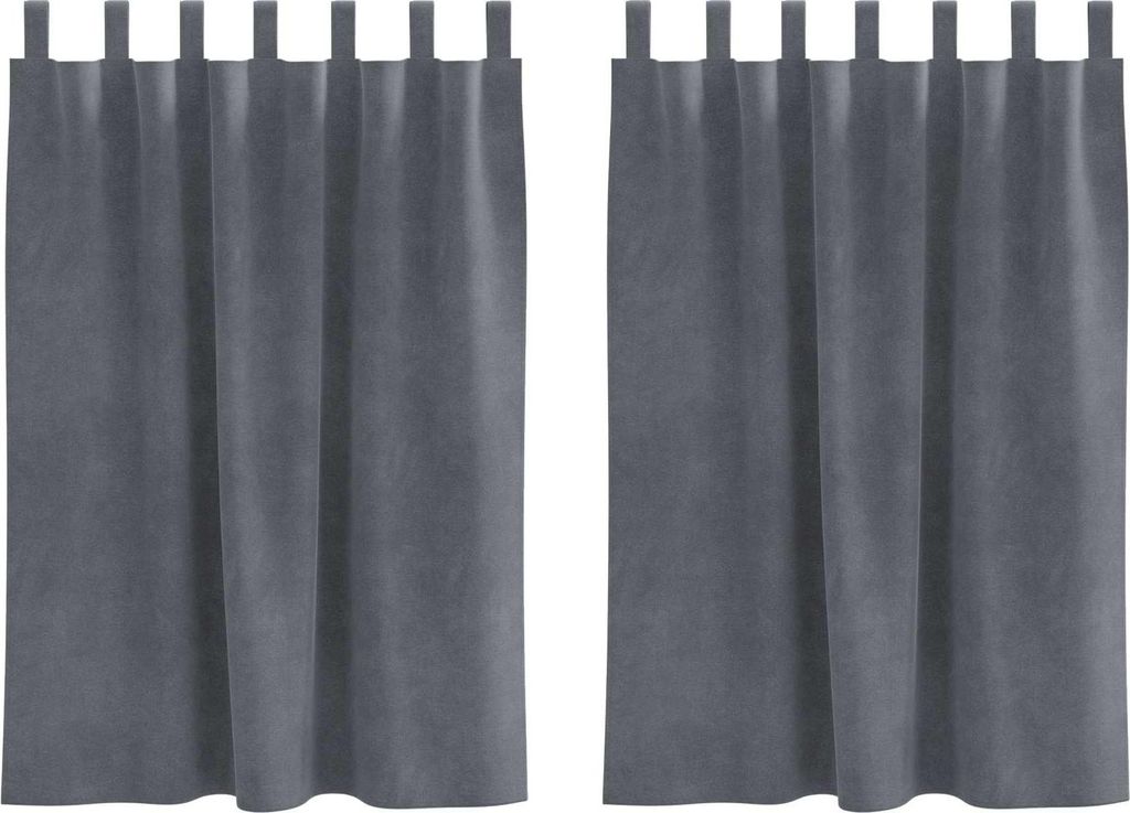 vidaXL Verdunkelungsvorhänge 2 pcs Hellgrau 140 x 140 cm Samt