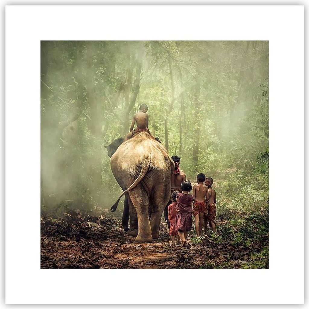 Poster - Poster ohne Rahmen - Elefant Dschungel Nebel - Produktbild 