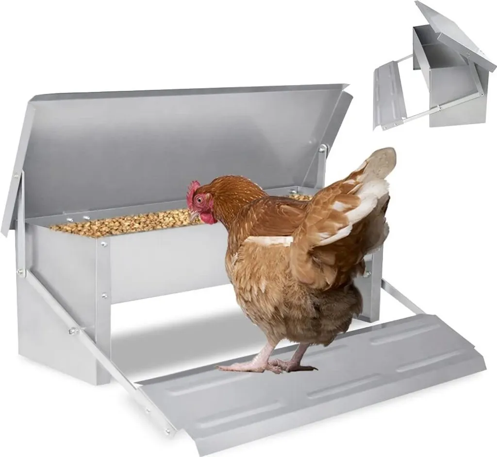 Mangiatoia Automatica YUENFONG: Libera il tuo Tempo e i tuoi Polli