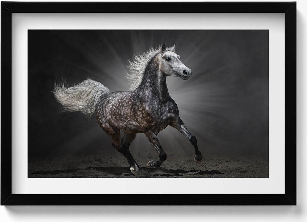 Galoppierendes Pferd– Wandbild mit Rahmen – Gerahmtes Bild – Wanddekoration – 60x40 cm – Schwarz Rahmen