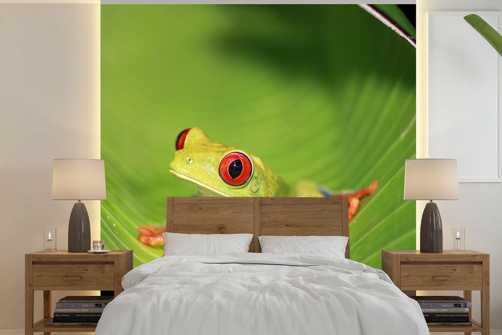 MuchoWow Fototapete für Wohnzimmer oder Schlafzimmer Wandtapete Vinyl Motivtapete Rotaugen-Ara-Frosch auf einem Blatt in Costa Rica - 260x260 cm...