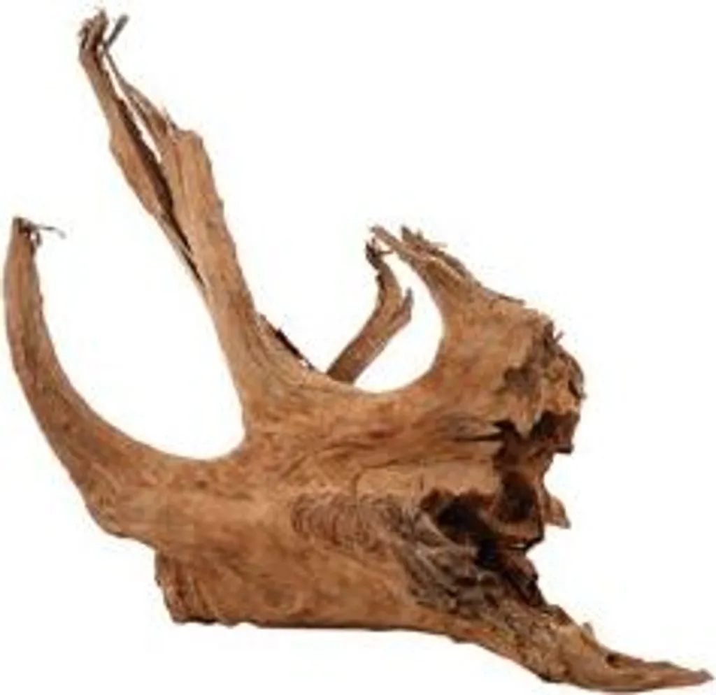 Aménager un Aquarium Naturel avec la Racine Mangrove Zolux L 40/60 cm - 2