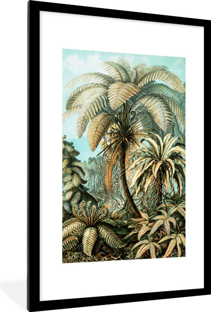 MuchoWow MuchoWow Gerahmtes Poster Palme - Ernst Haeckel 60x90 cm - Poster mit zchwarzem Bilderrahmen - Dekoration - Wandposter Wohnzimmer - Ho...