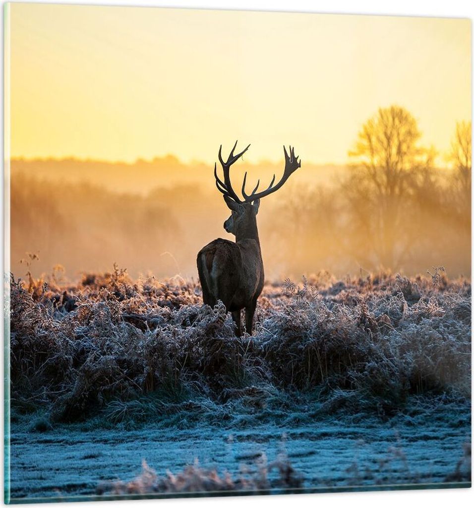 Bilder auf glas - Feld Nebel Natur Baum - 40x40cm - Glasbilder - Wandbilder - Kunstdruck - zum Aufhängen bereit - Wanddekoration aus Glas - Glas B...