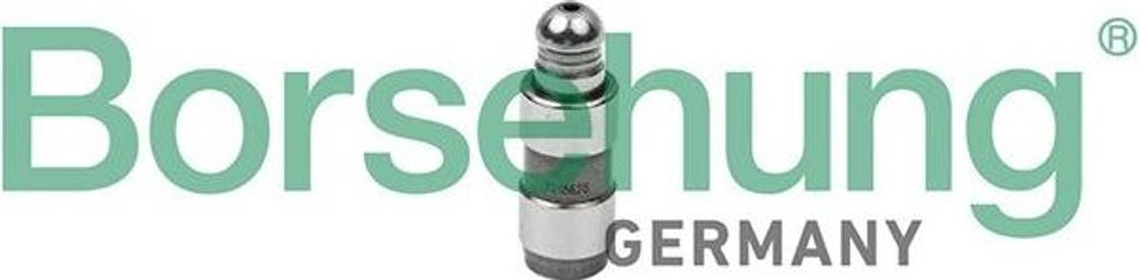 Borsehung B18828 Hydrostößel Ventilstößel für VW Golf IV Schrägheck (1J1) Hydraulisch