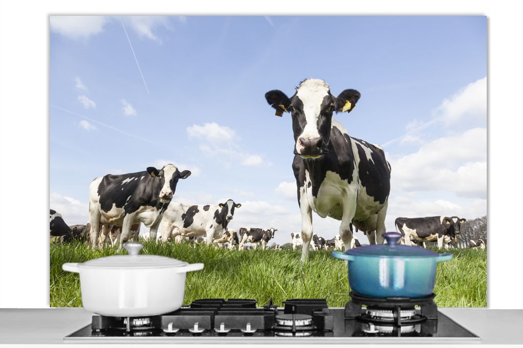 KitchenYeah Spritzschutz Küche - Küchenrückwand - Wandschutz für Herd und Spüle - Kühe - Gras - Tiere - Sonne - Bauernhof 120x80 - Alu-Dib...