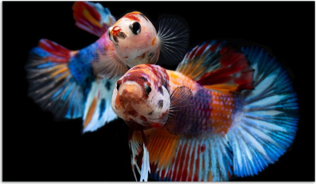 Wallario Herdabdeckplatte aus Glas, Größe 90 x 52 cm 1-teilig, Motiv Tanz unter Wasser