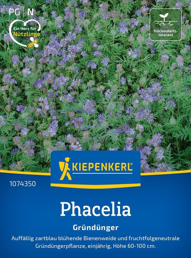 Kiepenkerl Phaceliasamen Bienenfreund Phacelia tanacetifolia 25 m²