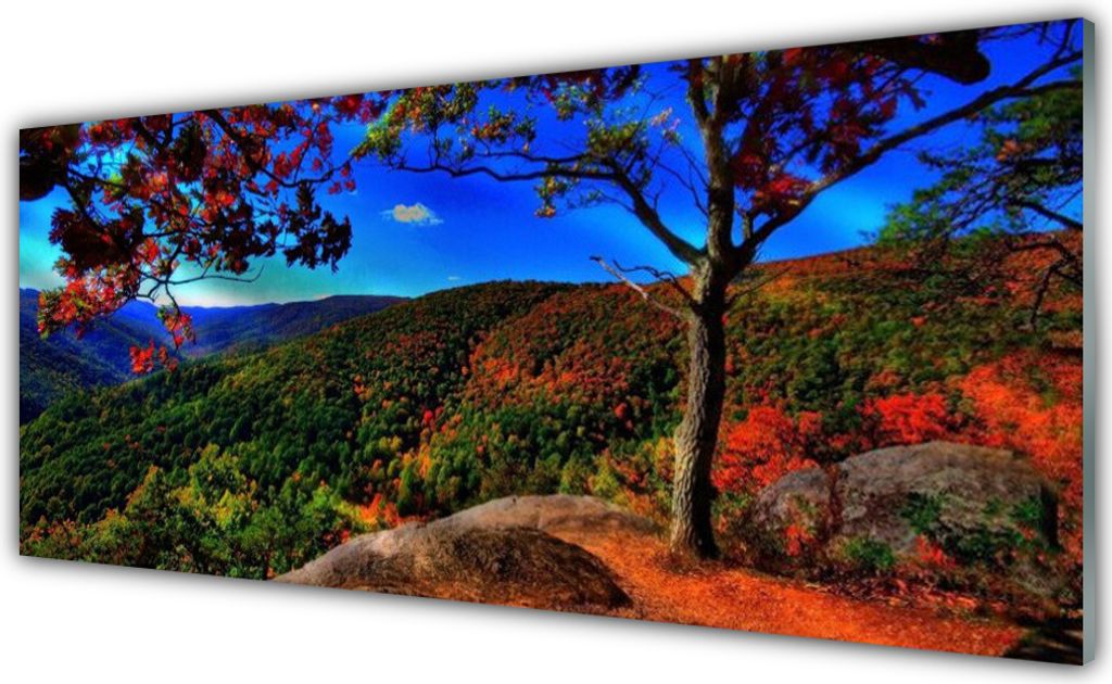 Glasbilder 125x50 Wandbild Druck auf Glas Gebirge Wald Natur