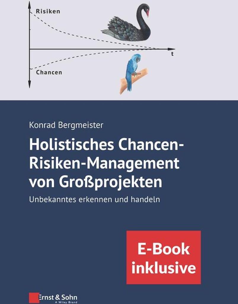 Holistisches Chancen-Risiken-Management von Großprojekten