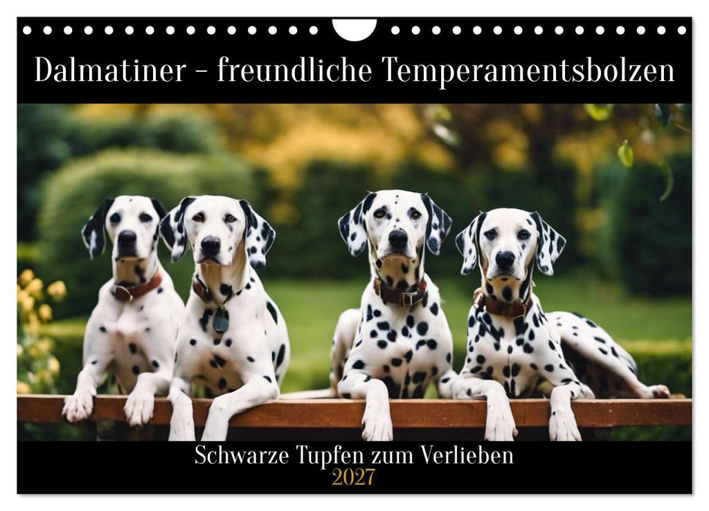 Dalmatiner - freundliche Temperamentsbolzen (Wandkalender 2027 DIN A4 quer), CALVENDO Monatskalender