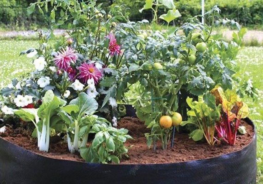 Schwarzes Stoff-Hochbeet gefüllt mit Erde, in dem verschiedene Pflanzen wachsen, darunter Tomaten, Blattgemüse sowie rosa und weiße Blumen