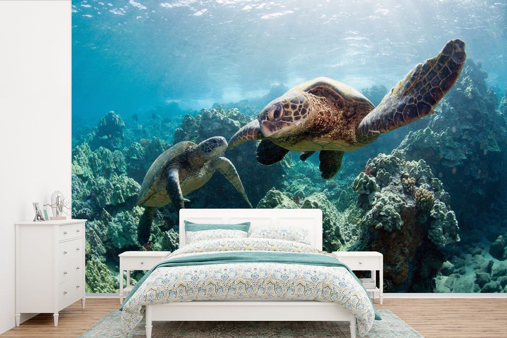 MuchoWow Fototapete für Wohnzimmer oder Schlafzimmer Wandtapete Vinyl Motivtapete Zwei Meeresschildkröten - 420x280 cm - Zimmer für Kinder