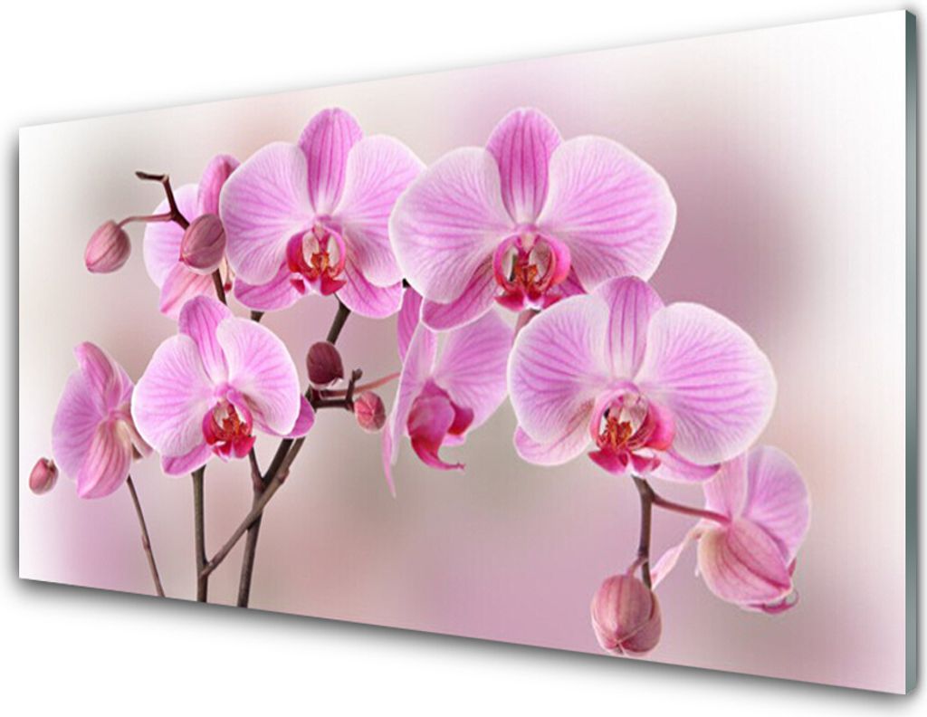 Küchenrückwand aus Glas 100x50cm Spritzschutz Blumen Pflanzen