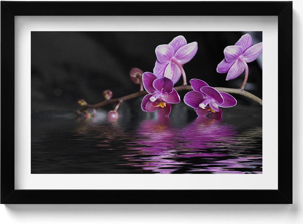 Rosa Orchideenblüte auf dem Wasser– Wandbild mit Rahmen – Gerahmtes Bild – Wanddekoration – 30x20 cm – Schwarz Rahmen