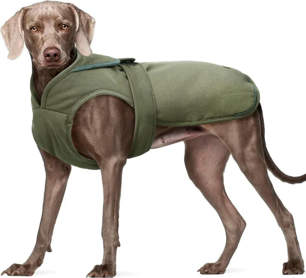 Kuoser Winter Style: Cappotto in Tela per Cani Chic e Funzionale