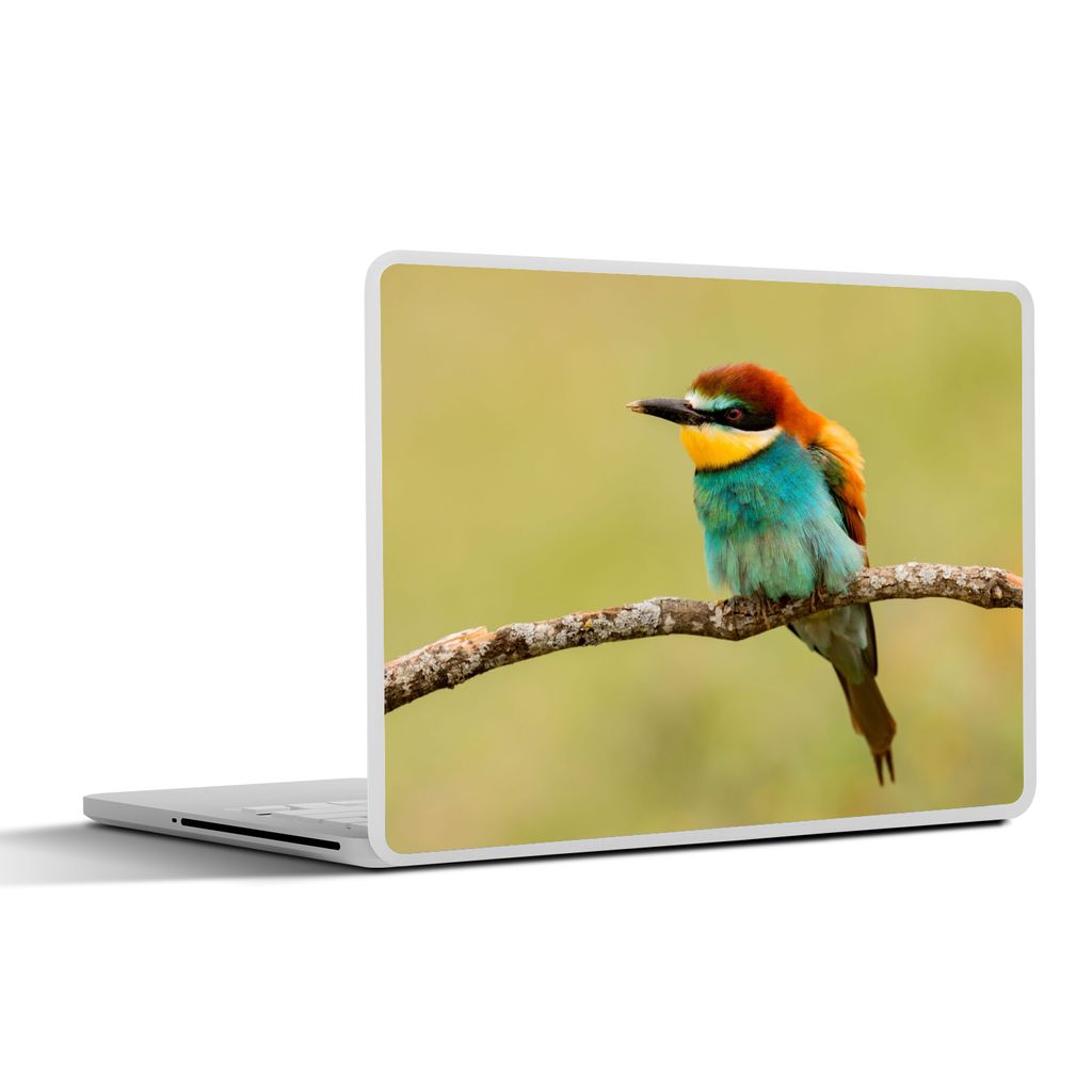 MuchoWow Laptop Aufkleber Sticker Cover Vogel - Bienenfresser - Tiere 25x18 cm - Laptop-Deko