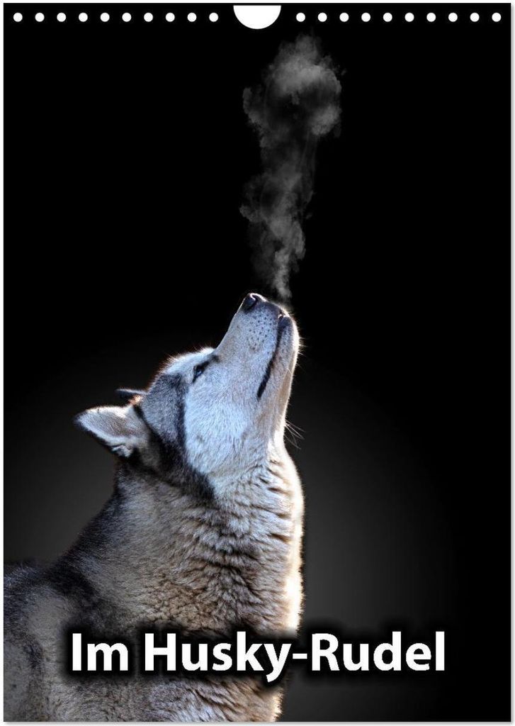 Im Husky-Rudel (Wandkalender 2026 DIN A4 hoch), CALVENDO Monatskalender