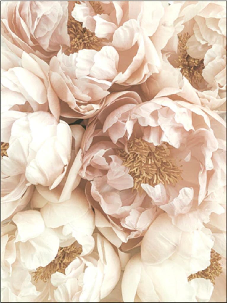 TPFLiving Kunstdruck LW-15 (OHNE RAHMEN) Poster - Leinwand - Wandbild - Hochauflösender Giclée-Druck, langlebig und hochwertig - Herbstlandschaft...