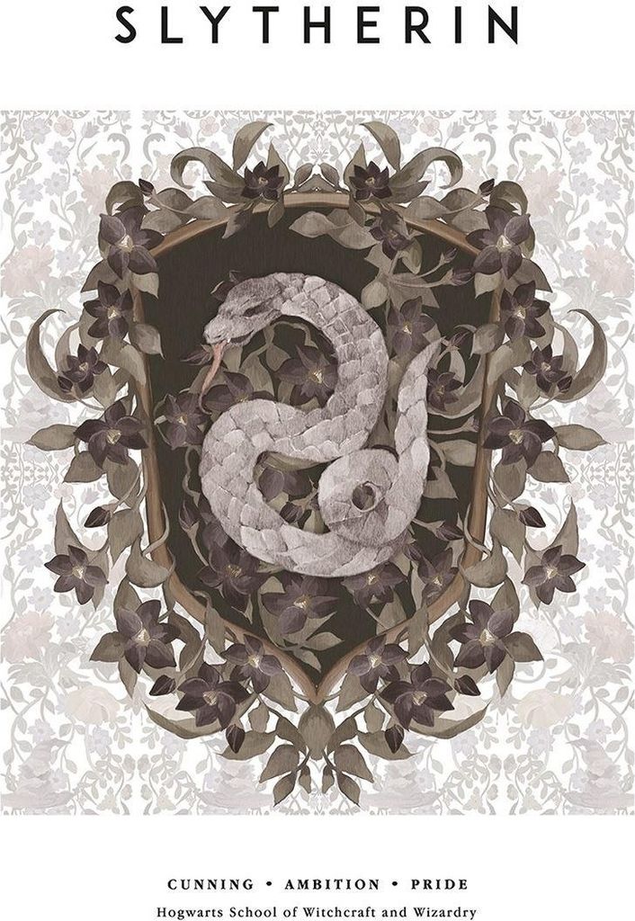 Harry Potter - bedruckt, Slytherin PM7077 (40 cm x 30 cm) (Weiß/Braun/Grau)