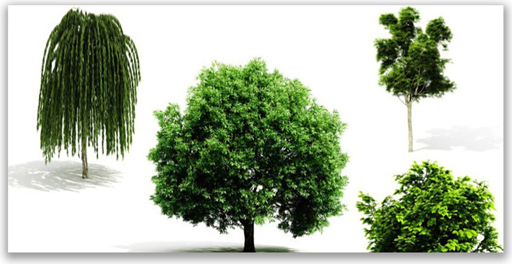 Tulup Leinwand-Bilder 140x70 Wandbild Canvas Kunstdruck Bäume Natur