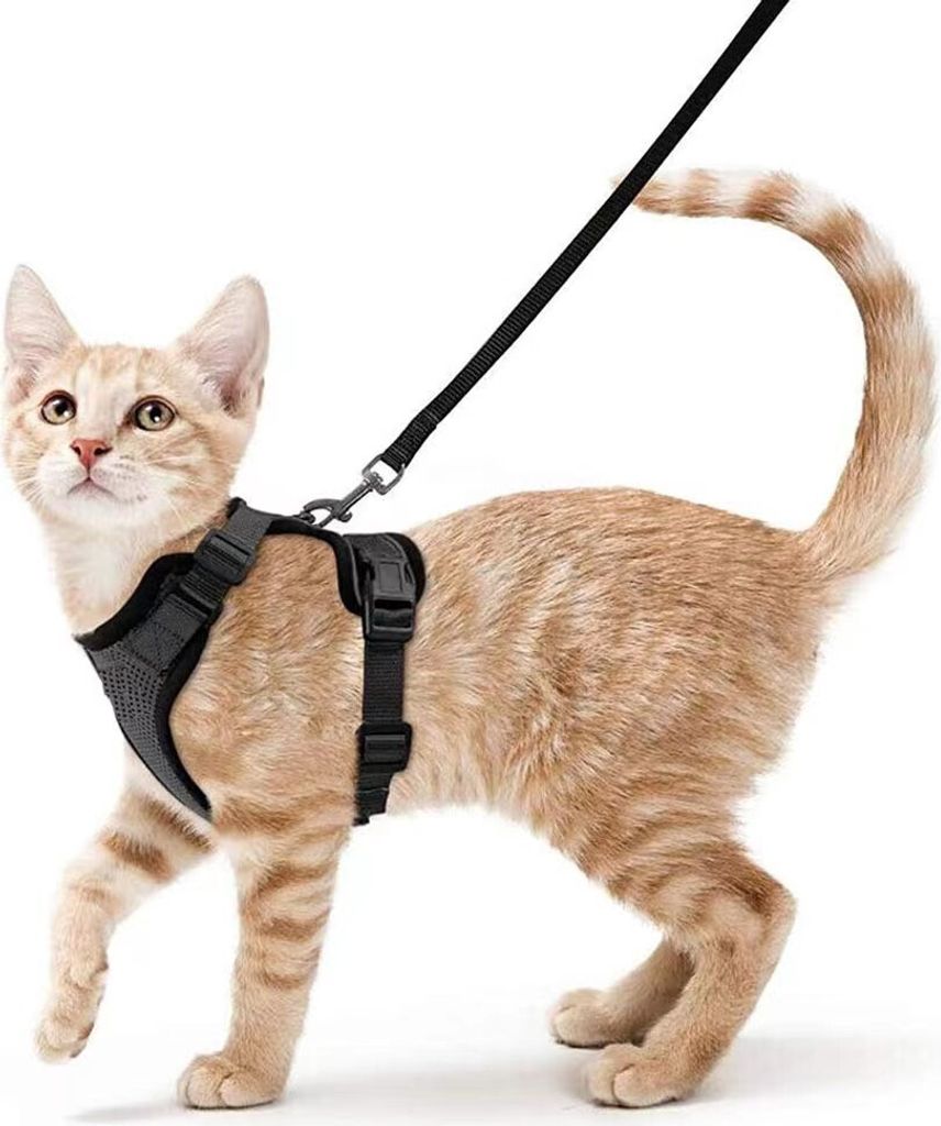 Katzengeschirr mit Leine Ausbruchsicher Katzenleine Kitten Verstellbar (S), schwarz