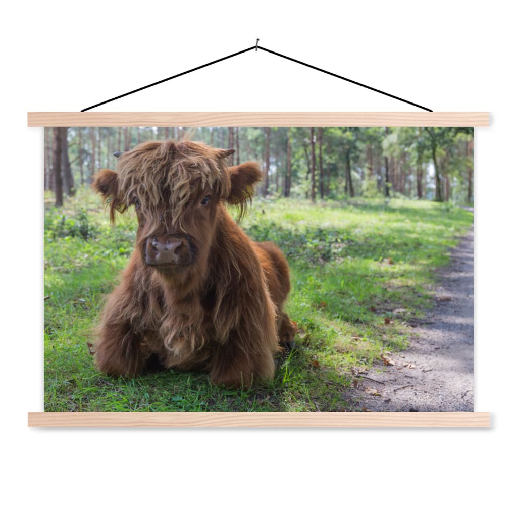MuchoWow Textilposter Schottischer Highlander - Kröte - Tiere 60x40 cm mit holzfarbenen Rahmen - Bilder