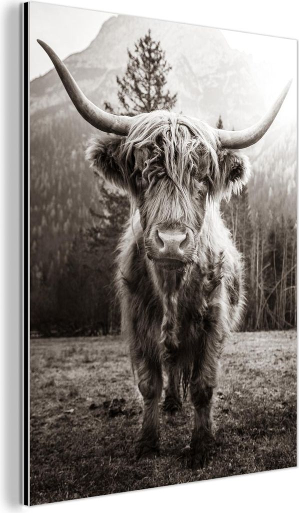 MuchoWow Wanddekoration Metall Metallbild Wandkunst 60x80 cm Schottisches Hochlandrind - Schwarz - Weiß - Tiere MuchoWow Aluminium Gemälde - Wand...