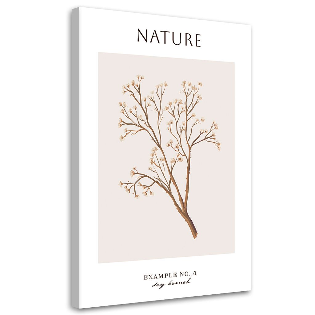 Leinwandbild Getrockneter Zweig – Natur 40x60 Feeby Beige bild für die wand bereit zum aufhängen